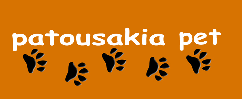 ΚΑΡΤΕΣ ΕΠΑΓΚΕ 222220000.jpg